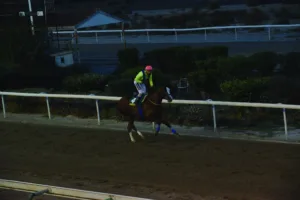 ΙΠΠΟΔΡΟΜΟΣ ΚΥΠΡΟΣ / IPPODROMOS KYPROS ΠΙΛΙΠΙΝΤΗΣ - The GBI Racing ΚΥΠΕΛΛΟ ΝΤΕΡΜΠΙ - 23/11/2025