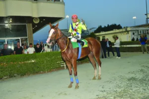 ΙΠΠΟΔΡΟΜΟΣ ΚΥΠΡΟΣ / IPPODROMOS KYPROS ΠΙΛΙΠΙΝΤΗΣ - The GBI Racing ΚΥΠΕΛΛΟ ΝΤΕΡΜΠΙ - 23/11/2025