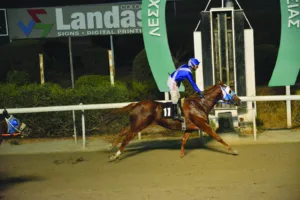 ΙΠΠΟΔΡΟΜΟΣ ΚΥΠΡΟΣ / IPPODROMOS KYPROS ΑΠΟΕΛΑΡΧΗΣ - 01/11/2025