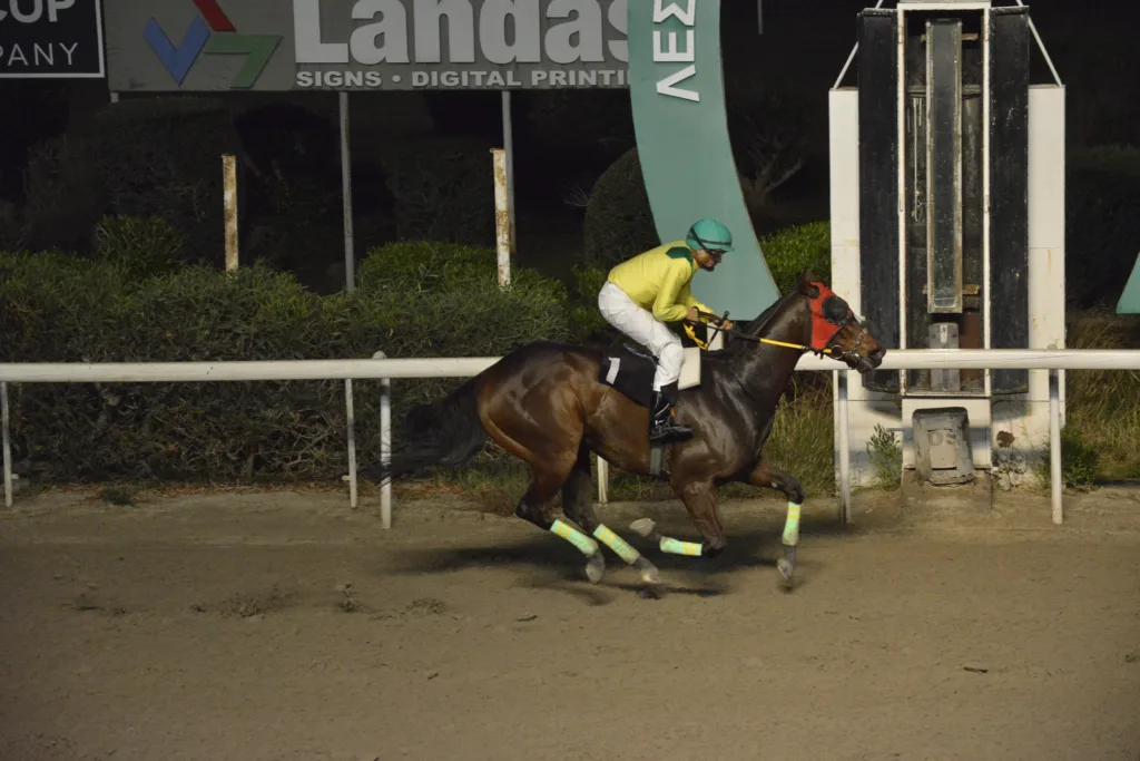 ΙΠΠΟΔΡΟΜΟΣ ΚΥΠΡΟΣ / IPPODROMOS KYPROS ΦΑΝΟΥΡΣ - 30/11/2025