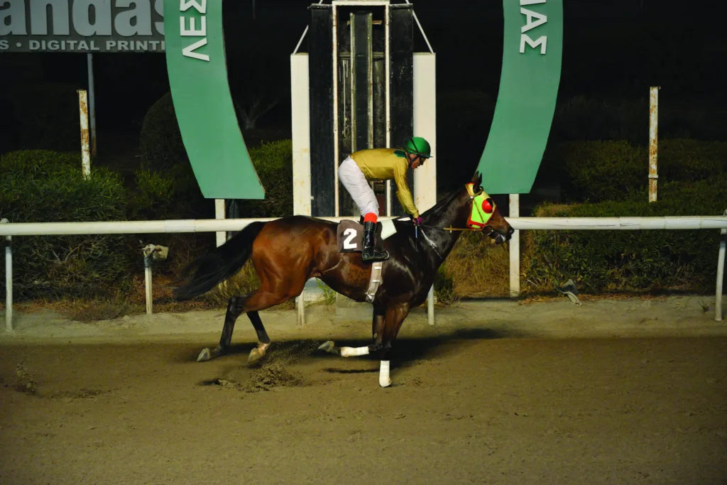 ΙΠΠΟΔΡΟΜΟΣ ΚΥΠΡΟΣ / IPPODROMOS KYPROS ΓΙΩΡΚΑΤΣΟΣ - 09/11/2025