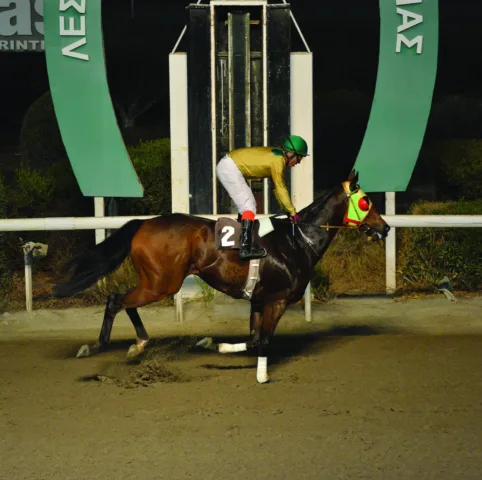 ΙΠΠΟΔΡΟΜΟΣ ΚΥΠΡΟΣ / IPPODROMOS KYPROS ΓΙΩΡΚΑΤΣΟΣ - 09/11/2025