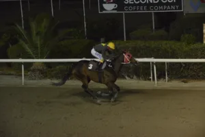 ΙΠΠΟΔΡΟΜΟΣ ΚΥΠΡΟΣ / IPPODROMOS KYPROS ΚΑΤΑΚΛΥΣΜΟΣ - 19/11/2025