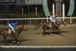 ΙΠΠΟΔΡΟΜΟΣ ΚΥΠΡΟΣ / IPPODROMOS KYPROS ΜΗΛΙΩΤΗΣ ΣΙΑΡΛΟΤ - 26/11/2025