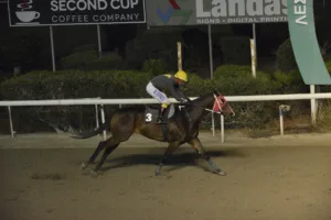 ΙΠΠΟΔΡΟΜΟΣ ΚΥΠΡΟΣ / IPPODROMOS KYPROS ΚΑΤΑΚΛΥΣΜΟΣ - 19/11/2025