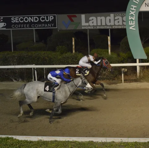 ΙΠΠΟΔΡΟΜΟΣ ΚΥΠΡΟΣ / IPPODROMOS KYPROS ΕΛΣΙΝΚΙ- ΚΥΠΕΛΛΟ KΥΠΡΙΑΚΟ ΟΟΥΚΣ  - 16/11/2025