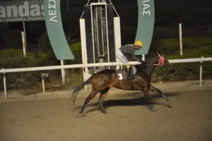 ΙΠΠΟΔΡΟΜΟΣ ΚΥΠΡΟΣ / IPPODROMOS KYPROS ΚΑΤΑΚΛΥΣΜΟΣ - 19/11/2025