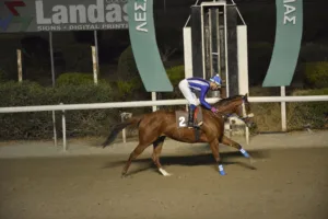 ΙΠΠΟΔΡΟΜΟΣ ΚΥΠΡΟΣ / IPPODROMOS KYPROS ΕΠΙΛΟΓΗ - 05/11/2025