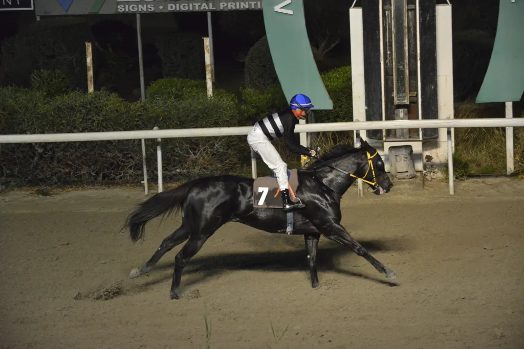 ΙΠΠΟΔΡΟΜΟΣ ΚΥΠΡΟΣ / IPPODROMOS KYPROS ΓΚΙΜΛΙ - 30/11/2025