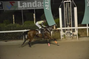 ΙΠΠΟΔΡΟΜΟΣ ΚΥΠΡΟΣ / IPPODROMOS KYPROS ΜΑΡΜΑΡΑ - 19/11/2025