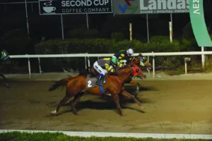 ΙΠΠΟΔΡΟΜΟΣ ΚΥΠΡΟΣ / IPPODROMOS KYPROS ΠΑΝΤΕΛΗΣ ΤΣΙΗΦ - 23/11/2025