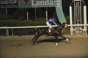 ΙΠΠΟΔΡΟΜΟΣ ΚΥΠΡΟΣ / IPPODROMOS KYPROS ΣΕΡ ΔΗΜΗΤΡΗΣ - 26/11/2025