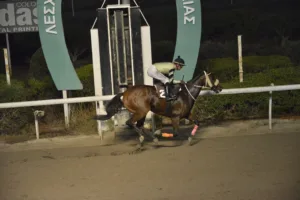 ΙΠΠΟΔΡΟΜΟΣ ΚΥΠΡΟΣ / IPPODROMOS KYPROS ΜΑΡΜΑΡΑ - 19/11/2025