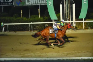 ΙΠΠΟΔΡΟΜΟΣ ΚΥΠΡΟΣ / IPPODROMOS KYPROS ΠΑΝΤΕΛΗΣ ΤΣΙΗΦ - 23/11/2025