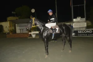 ΙΠΠΟΔΡΟΜΟΣ ΚΥΠΡΟΣ / IPPODROMOS KYPROS ΓΚΙΜΛΙ - 30/11/2025