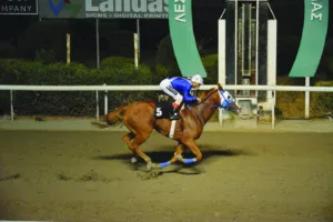 ΙΠΠΟΔΡΟΜΟΣ ΚΥΠΡΟΣ / IPPODROMOS KYPROS