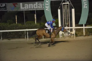 ΙΠΠΟΔΡΟΜΟΣ ΚΥΠΡΟΣ / IPPODROMOS KYPROS ΓΙΑΓΚ ΗΛΙΑΣ - 26/11/2025