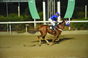 ΙΠΠΟΔΡΟΜΟΣ ΚΥΠΡΟΣ / IPPODROMOS KYPROS ΣΑΝ ΧΟΖΕ - 23/11/2025