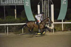 ΙΠΠΟΔΡΟΜΟΣ ΚΥΠΡΟΣ / IPPODROMOS KYPROS ΚΥΠΡΙΑΝΟΣ - 26/11/2025