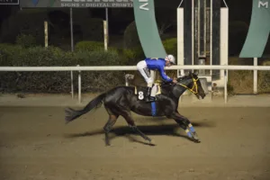 ΙΠΠΟΔΡΟΜΟΣ ΚΥΠΡΟΣ / IPPODROMOS KYPROS ΜΑΜΑΝΤΟΥ - 05/11/2025