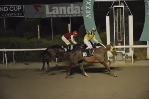 ΙΠΠΟΔΡΟΜΟΣ ΚΥΠΡΟΣ / IPPODROMOS KYPROS