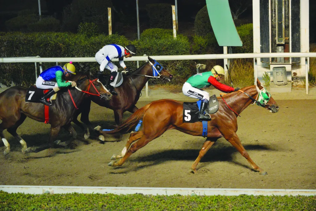 ΙΠΠΟΔΡΟΜΟΣ ΚΥΠΡΟΣ / IPPODROMOS KYPROS ΒΕΡΓΙΝΙΟΣ - 09/11/2025