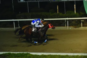 ΙΠΠΟΔΡΟΜΟΣ ΚΥΠΡΟΣ / IPPODROMOS KYPROS ΒΡΑΚΑΣ ΛΕΓΚΑΣΥ - 23/11/2025