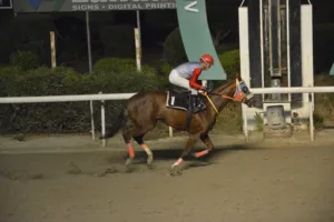 ΙΠΠΟΔΡΟΜΟΣ ΚΥΠΡΟΣ / IPPODROMOS KYPROS ΣΟΥΗΤ ΡΟΟΥΖ - 19/11/2025