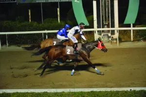 ΙΠΠΟΔΡΟΜΟΣ ΚΥΠΡΟΣ / IPPODROMOS KYPROS ΒΡΑΚΑΣ ΛΕΓΚΑΣΥ - 23/11/2025