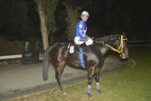 ΙΠΠΟΔΡΟΜΟΣ ΚΥΠΡΟΣ / IPPODROMOS KYPROS ΜΑΜΑΝΤΟΥ - 05/11/2025