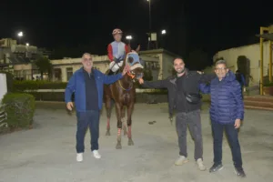 ΙΠΠΟΔΡΟΜΟΣ ΚΥΠΡΟΣ / IPPODROMOS KYPROS ΣΟΥΗΤ ΡΟΟΥΖ - 19/11/2025