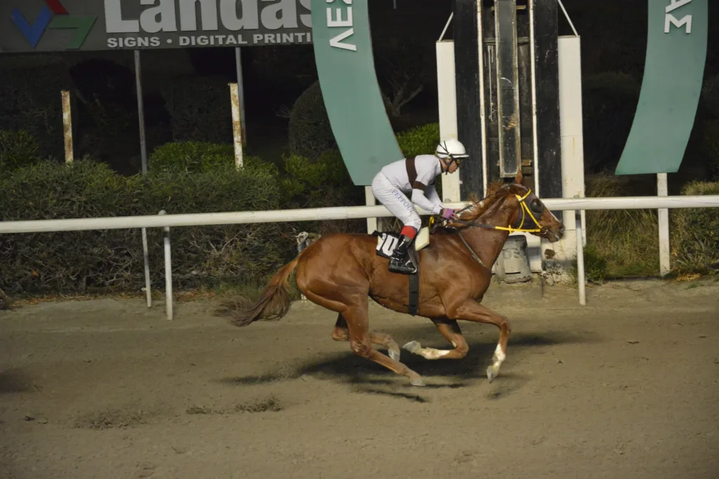 ΙΠΠΟΔΡΟΜΟΣ ΚΥΠΡΟΣ / IPPODROMOS KYPROS ΕΞΠΡΕΣ - 30/11/2025