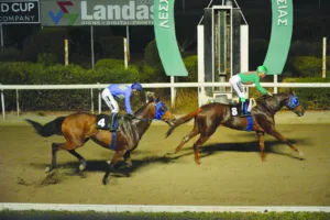 ΙΠΠΟΔΡΟΜΟΣ ΚΥΠΡΟΣ / IPPODROMOS KYPROS ΧΑΒΑΗ ΡΙΒΕΡ - 09/11/2025