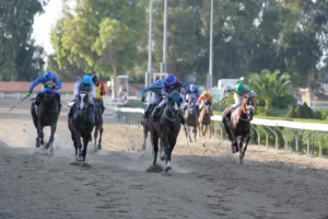 ΙΠΠΟΔΡΟΜΟΣ ΚΥΠΡΟΣ / IPPODROMOS KYPROS