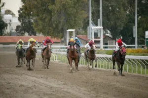 ΙΠΠΟΔΡΟΜΟΣ ΚΥΠΡΟΣ / IPPODROMOS KYPROS