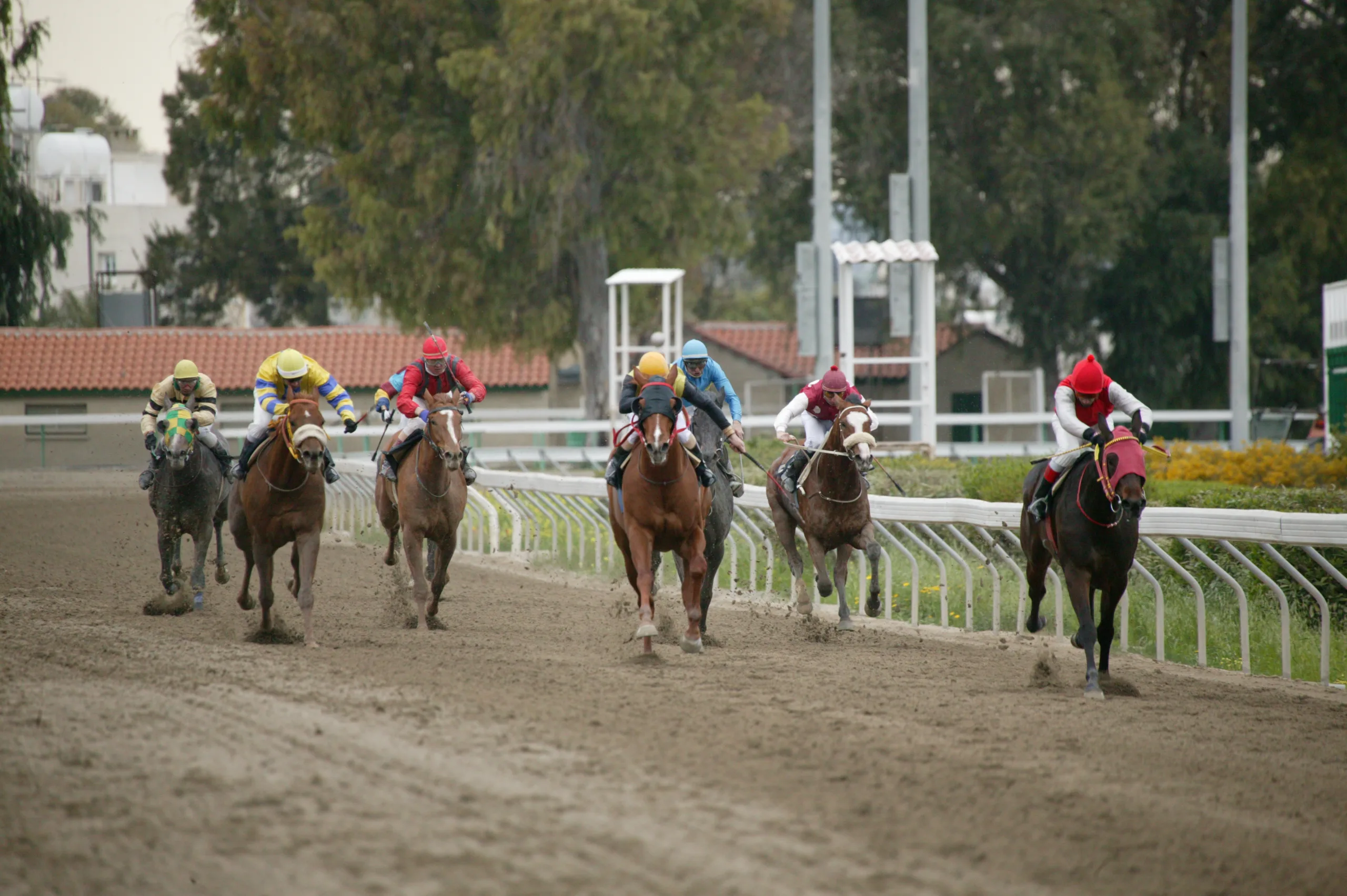 ΙΠΠΟΔΡΟΜΟΣ ΚΥΠΡΟΣ / IPPODROMOS KYPROS