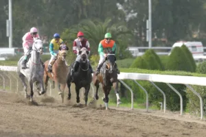 ΙΠΠΟΔΡΟΜΟΣ ΚΥΠΡΟΣ / IPPODROMOS KYPROS