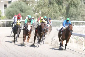 ΙΠΠΟΔΡΟΜΟΣ ΚΥΠΡΟΣ / IPPODROMOS KYPROS