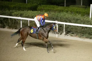 ΙΠΠΟΔΡΟΜΟΣ ΚΥΠΡΟΣ / IPPODROMOS KYPROS