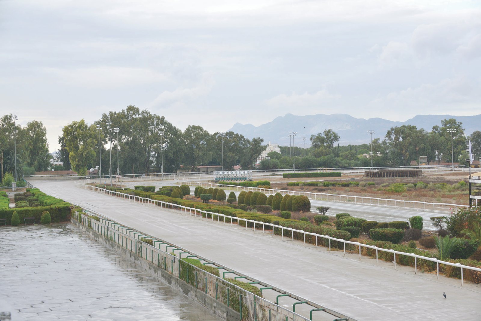 ΙΠΠΟΔΡΟΜΟΣ ΚΥΠΡΟΣ / IPPODROMOS KYPROS