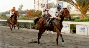 ΙΠΠΟΔΡΟΜΟΣ ΚΥΠΡΟΣ / IPPODROMOS KYPROS