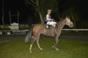 ΙΠΠΟΔΡΟΜΟΣ ΚΥΠΡΟΣ / IPPODROMOS KYPROS ΙΝΣΕΗΝ - 26/12/2025