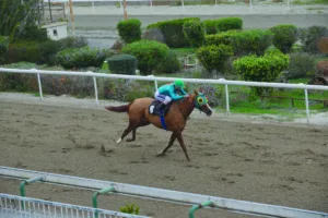 ΙΠΠΟΔΡΟΜΟΣ ΚΥΠΡΟΣ / IPPODROMOS KYPROS ΦΟΡΓΚΙΒΙΝΕΣ - 03/12/2025