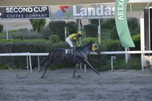 ΙΠΠΟΔΡΟΜΟΣ ΚΥΠΡΟΣ / IPPODROMOS KYPROS ΑΙΡΟΝΧΑΡΤ - 26/12/2025