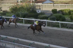 ΙΠΠΟΔΡΟΜΟΣ ΚΥΠΡΟΣ / IPPODROMOS KYPROS ΜΙΡΑΖ - 14/12/2025