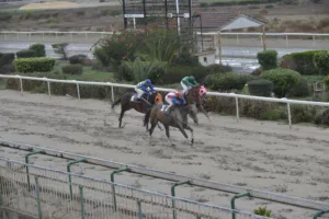 ΙΠΠΟΔΡΟΜΟΣ ΚΥΠΡΟΣ / IPPODROMOS KYPROS ΜΙΣ ΤΡΑΧΩΝΙΤΙΣΣΑ  - 07/12/2025