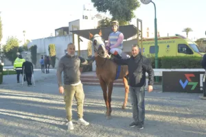 ΙΠΠΟΔΡΟΜΟΣ ΚΥΠΡΟΣ / IPPODROMOS KYPROS ΟΝΗΣΙΛΟΣ - 17/12/2025