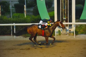 ΙΠΠΟΔΡΟΜΟΣ ΚΥΠΡΟΣ / IPPODROMOS KYPROS ΕΝΟΧΟΣ - 03/12/2025