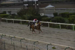 ΙΠΠΟΔΡΟΜΟΣ ΚΥΠΡΟΣ / IPPODROMOS KYPROS ΚΙΓΚ ΤΖΩΝ - 21/12/2025