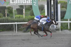 ΙΠΠΟΔΡΟΜΟΣ ΚΥΠΡΟΣ / IPPODROMOS KYPROS ΚΟΡΙΤΣΑΚΙ - 26/12/2025